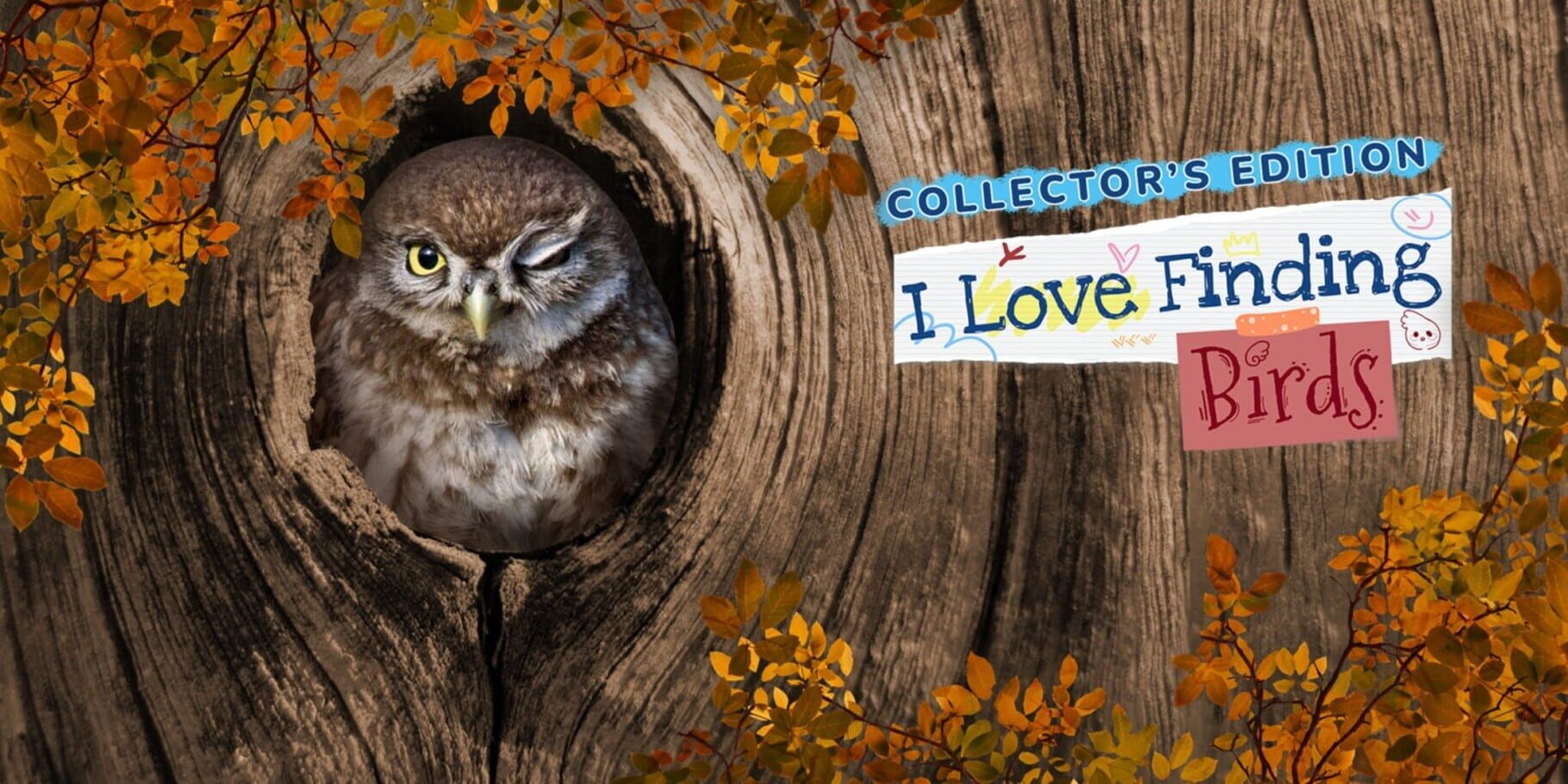 Arte - I Love Finding Birds: Collector's Edition