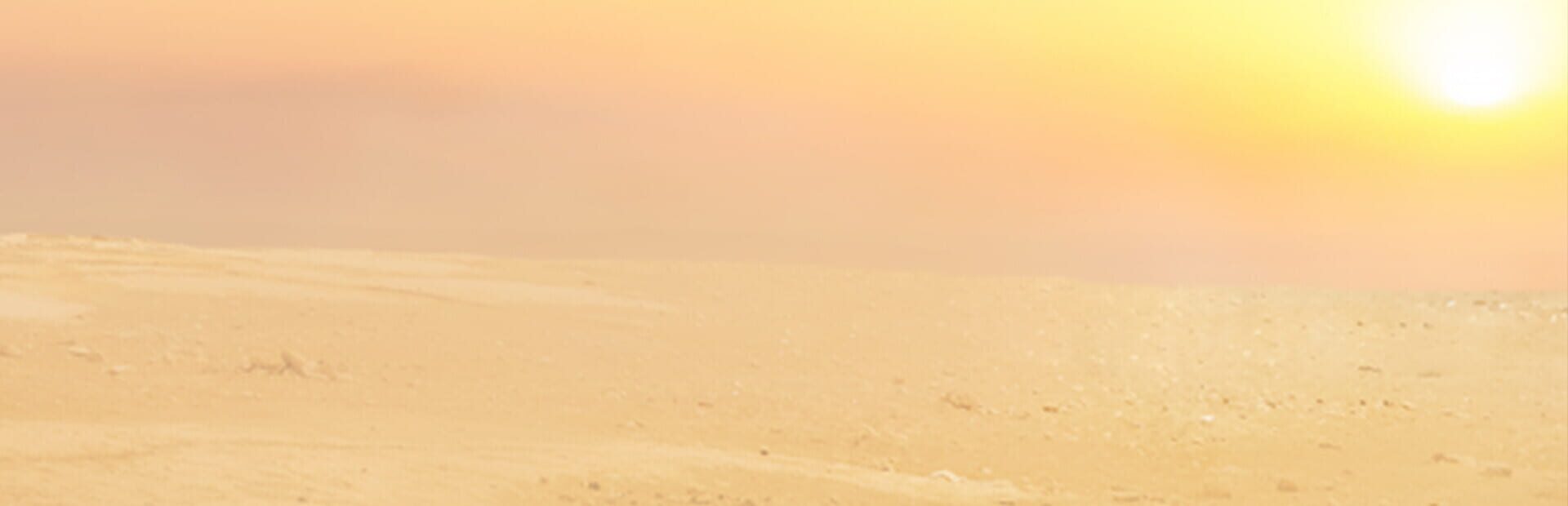 Ancient Wonders: Pharaoh's Tomb