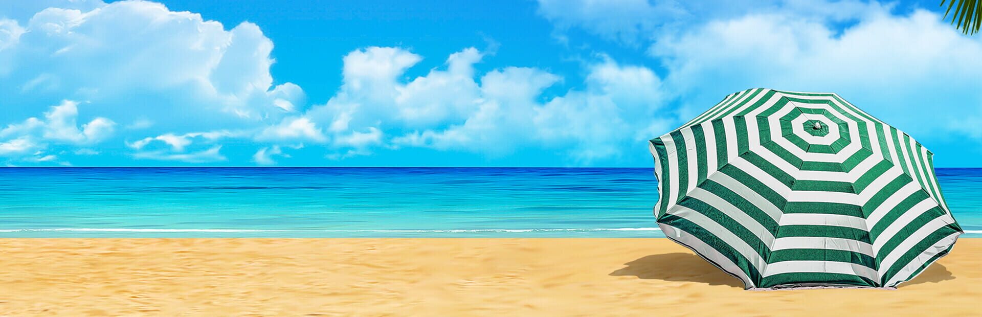 Vacation Paradise: Florida - Collector's Edition