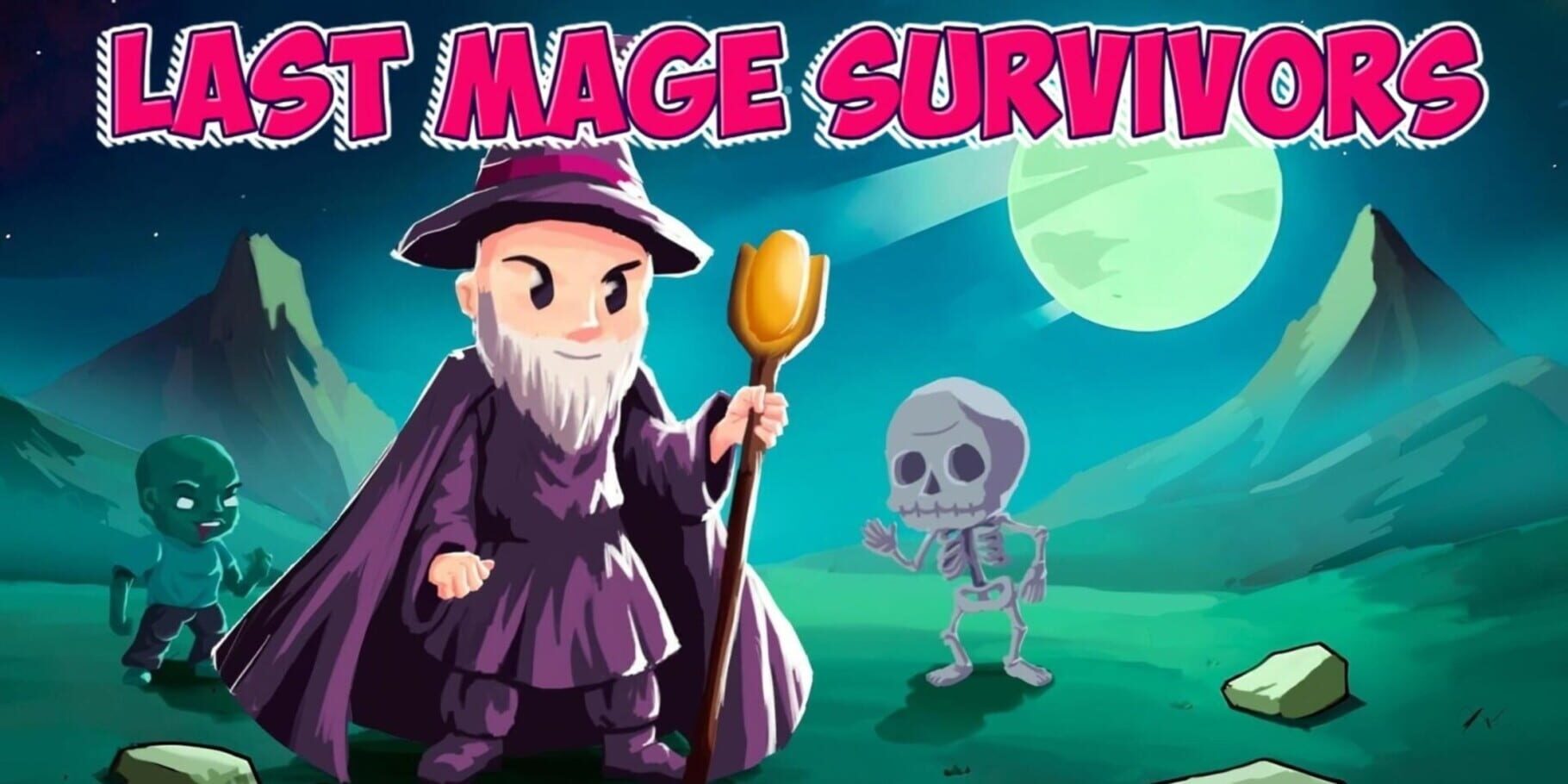 Last Mage Survivors artwork