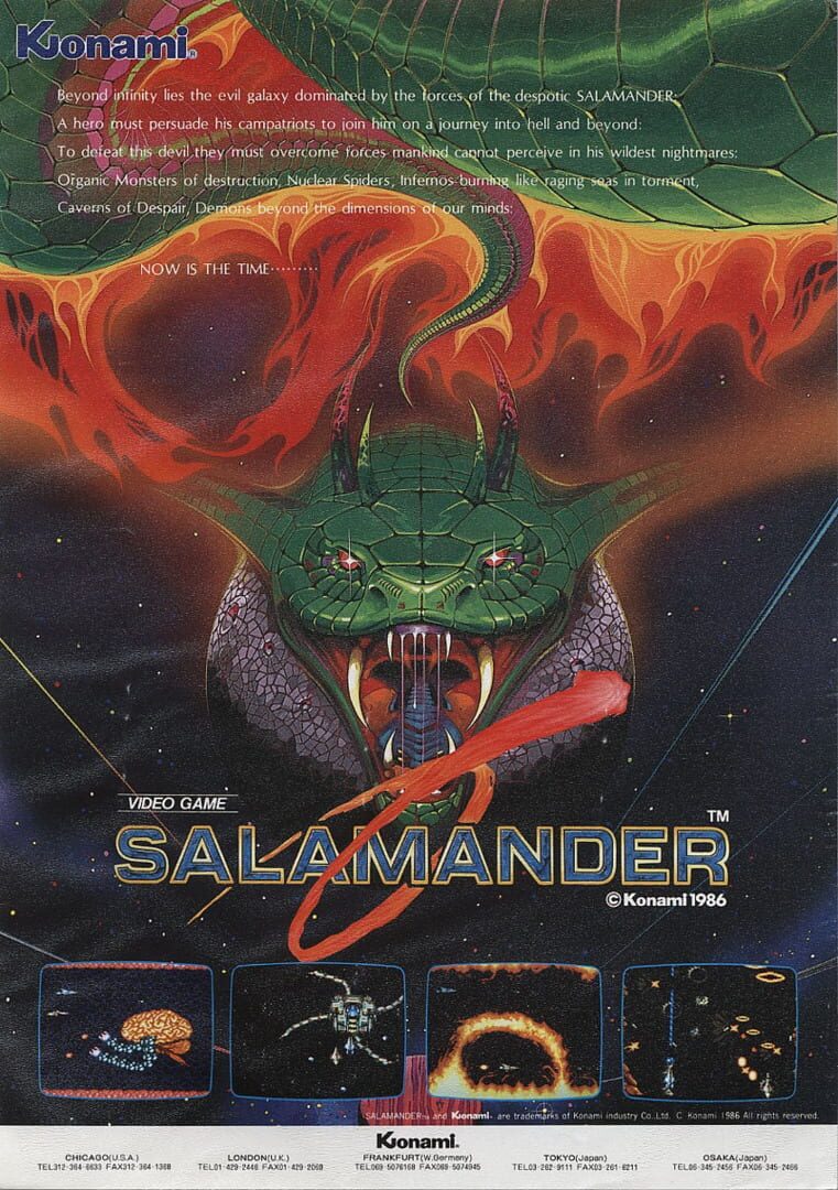 Salamander artwork