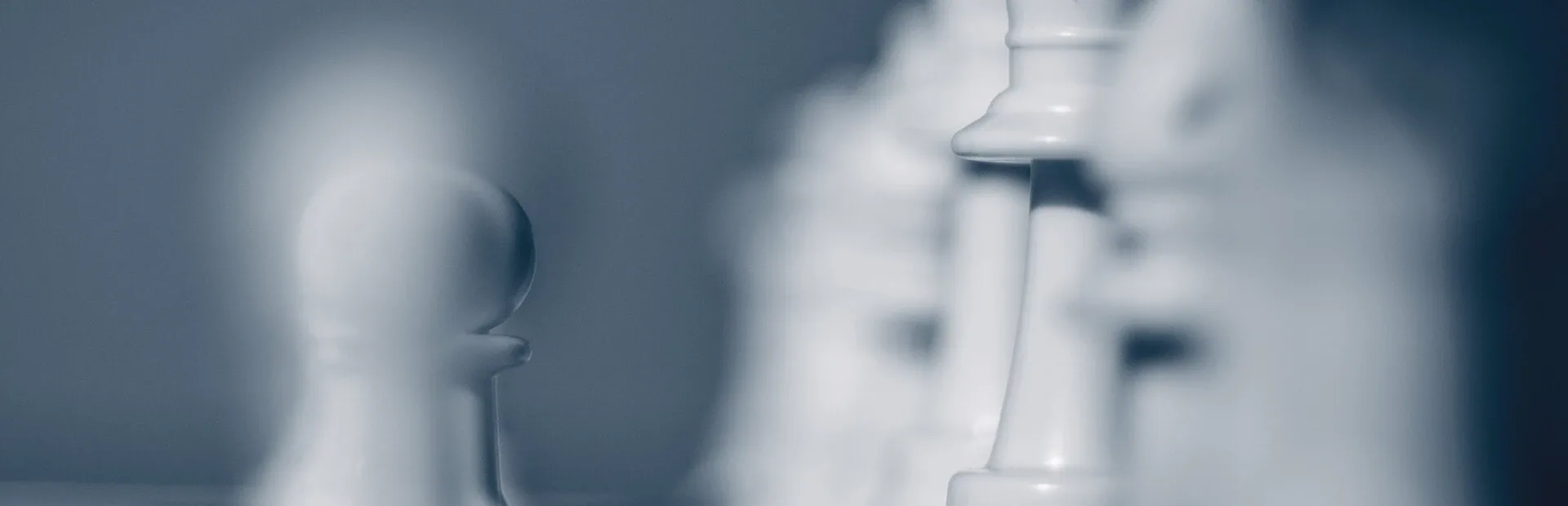 Fritz: Your Chess Coach