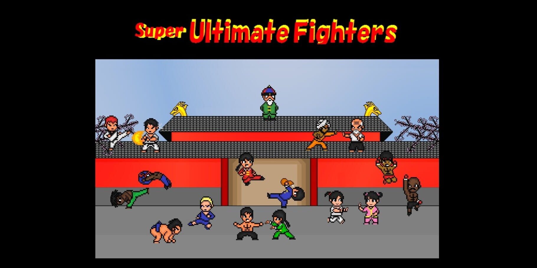 Super Ultimate Fighters artwork