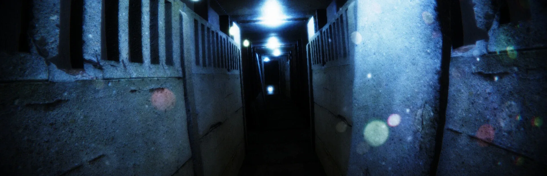 BoneField: Bodycam Horror