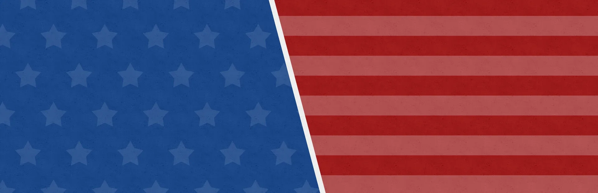 The Political Machine 2024