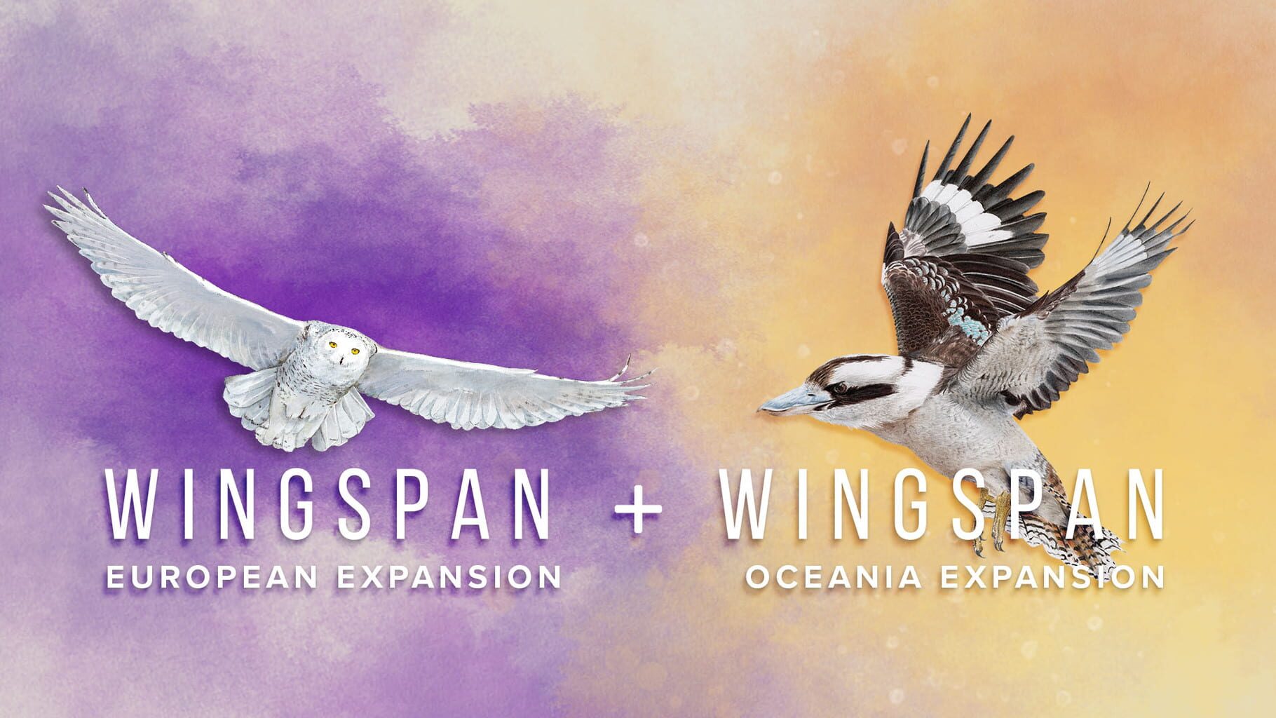 European Expansion + Oceania Expansion artwork
