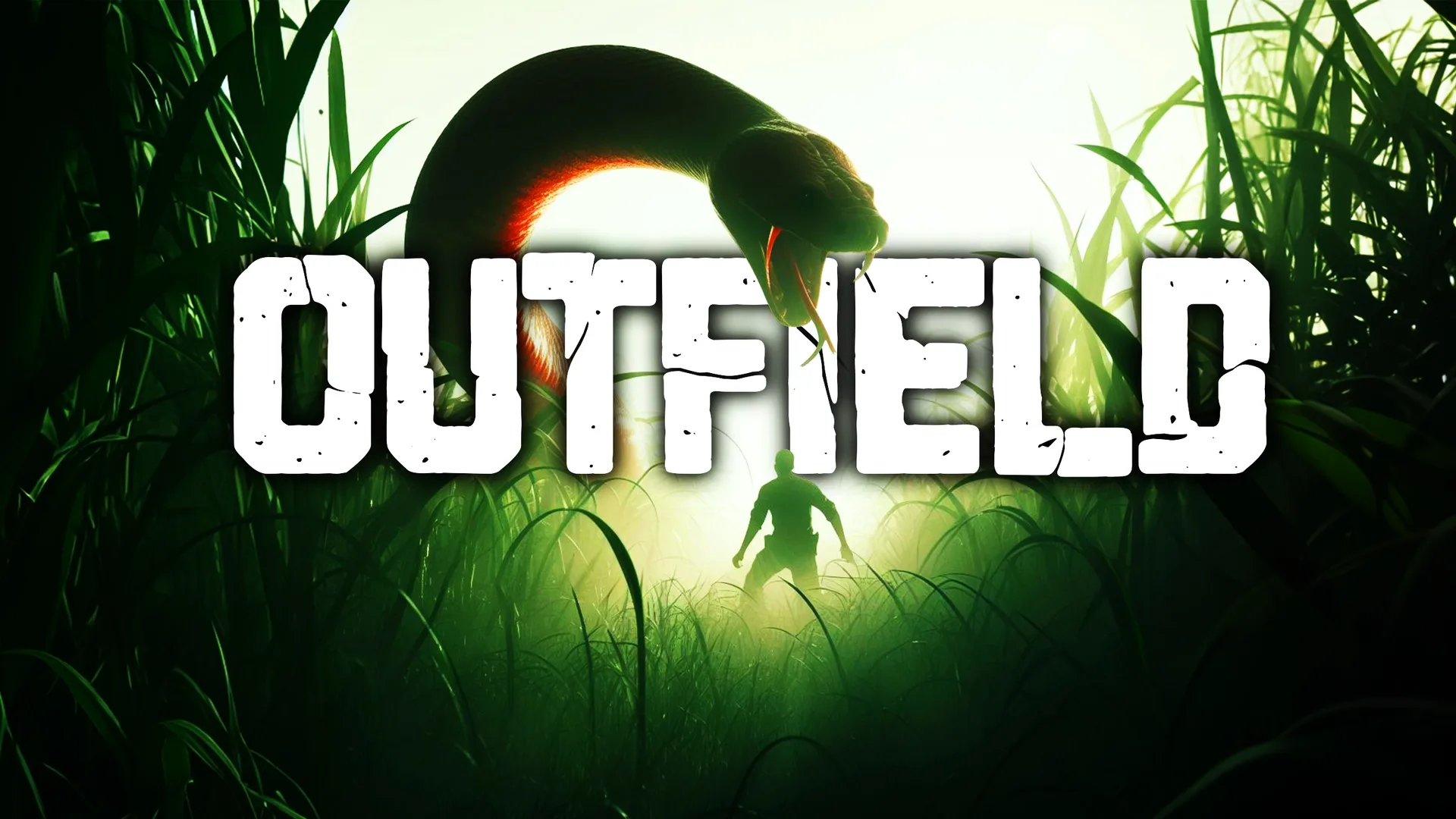 Outfield