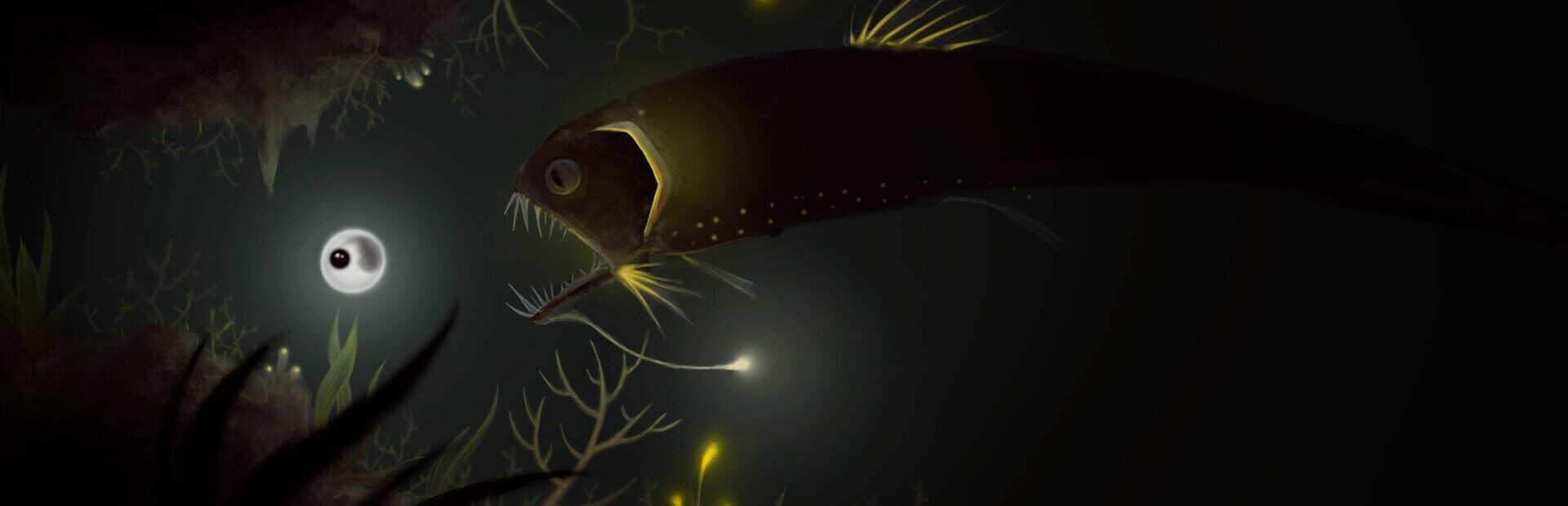 Evolution: From the Little Light artwork