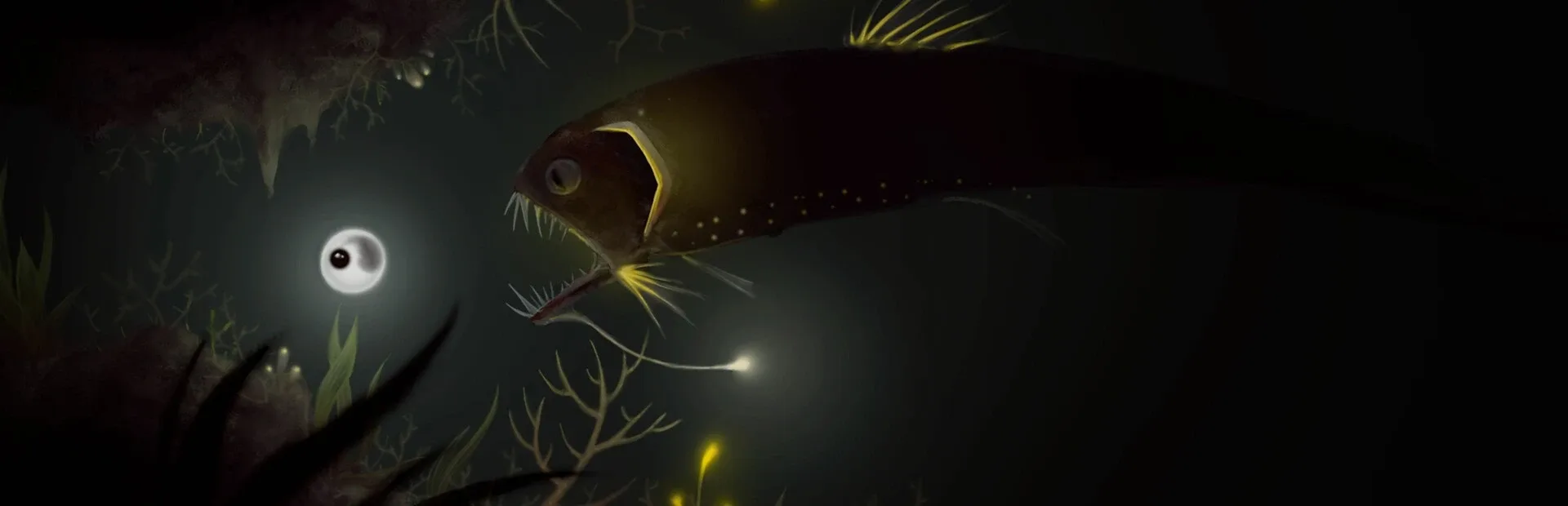 Evolution: From the Little Light