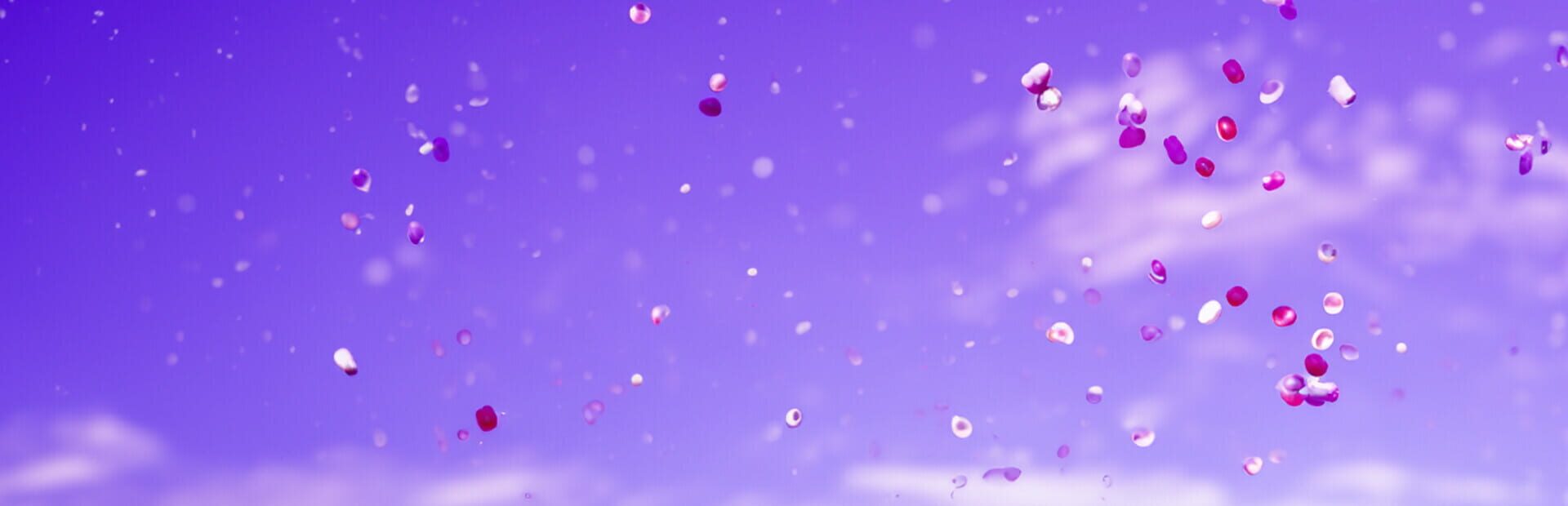 Artwork for Crazy Candydish