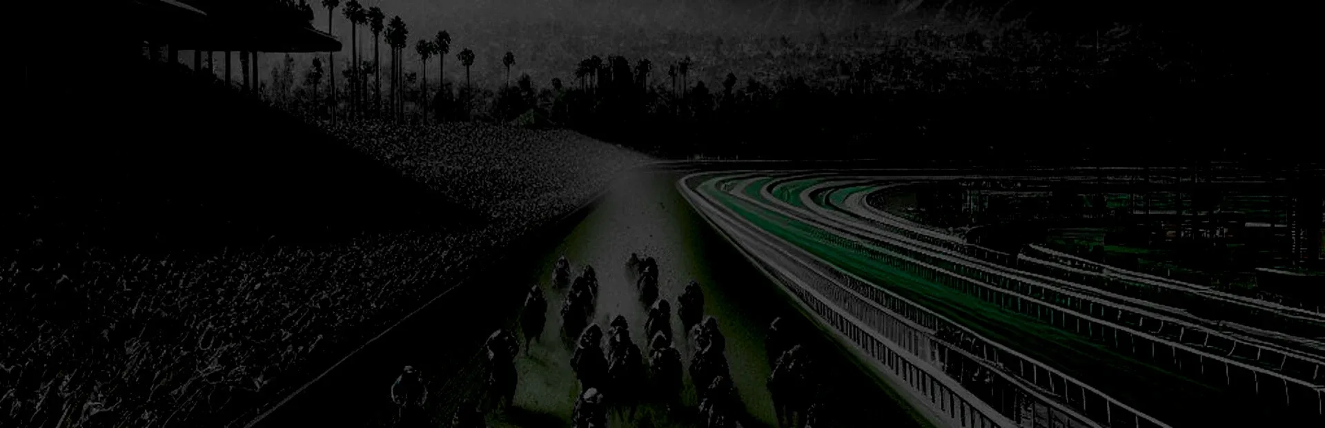 Gallop Champion