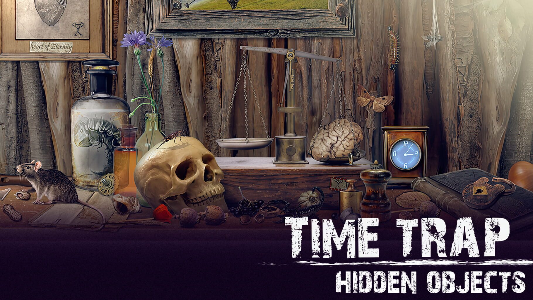 Time Trap: Hidden Objects artwork