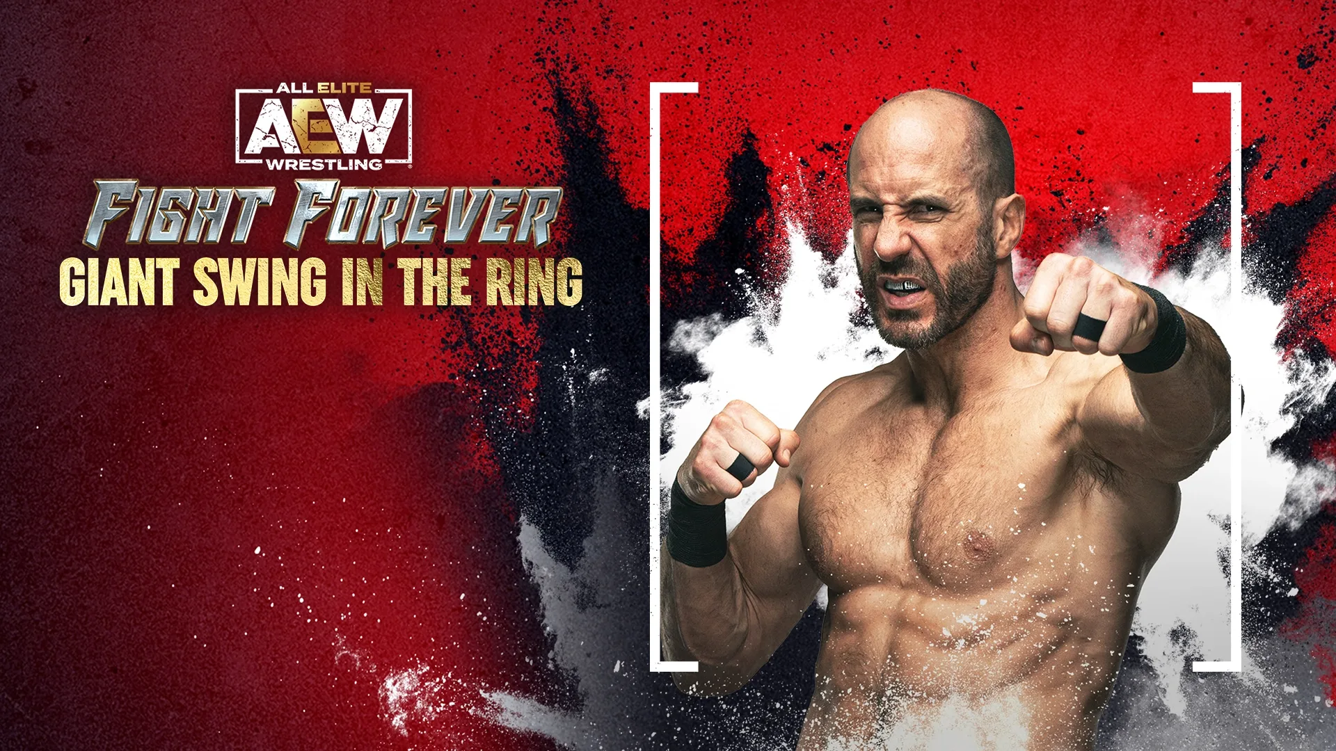 Arte - All Elite Wresting: Fight Forever - Giant Swing in the Ring