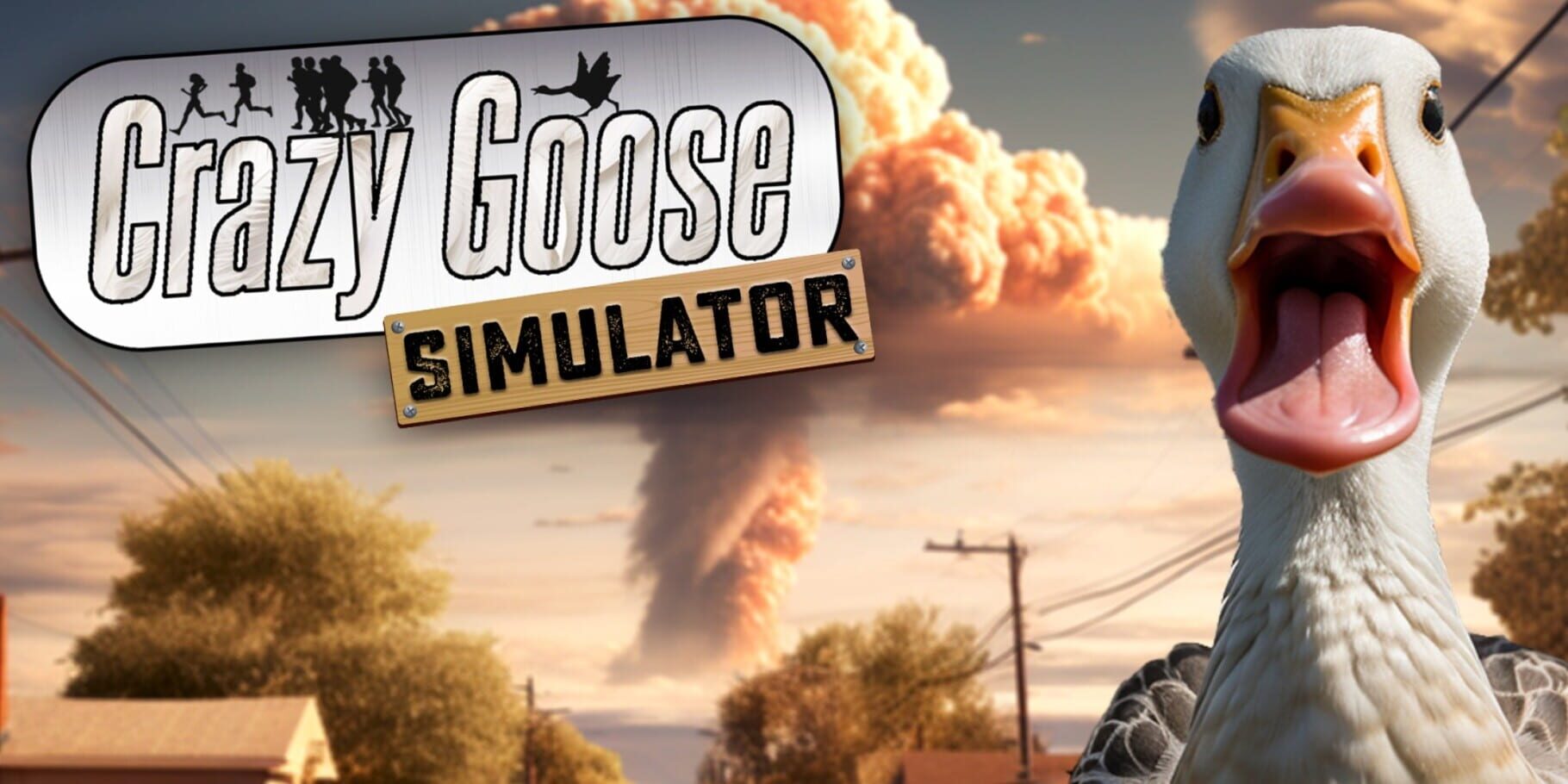 Crazy Goose Simulator artwork