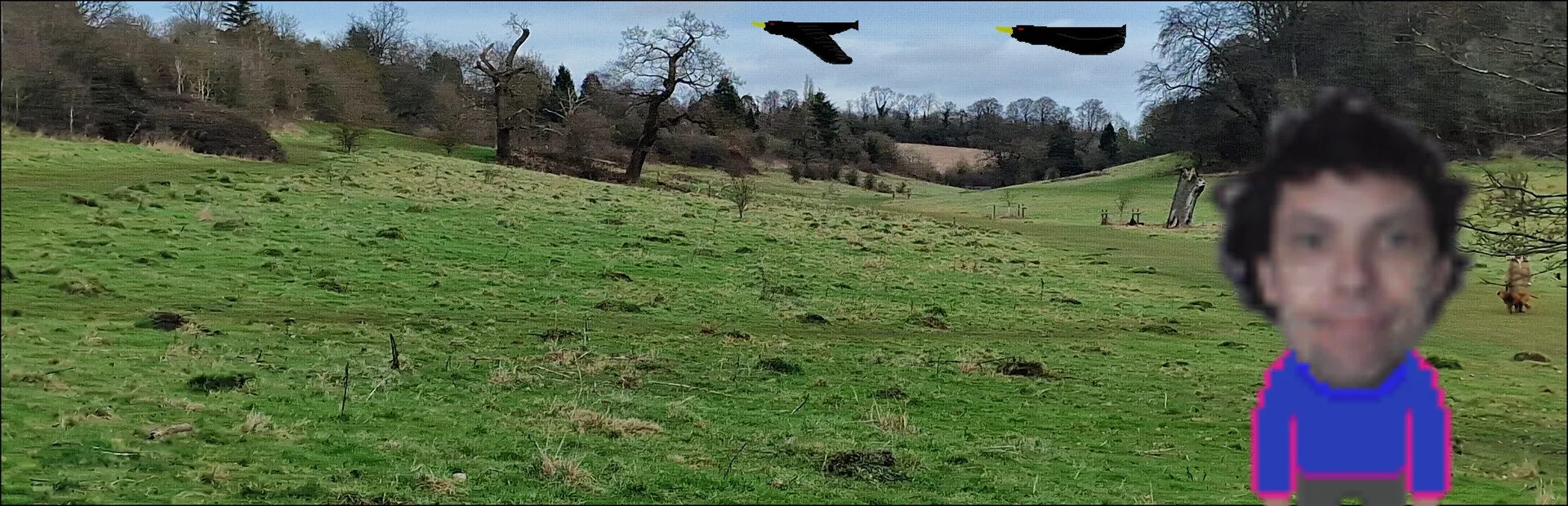 Jumping Steve