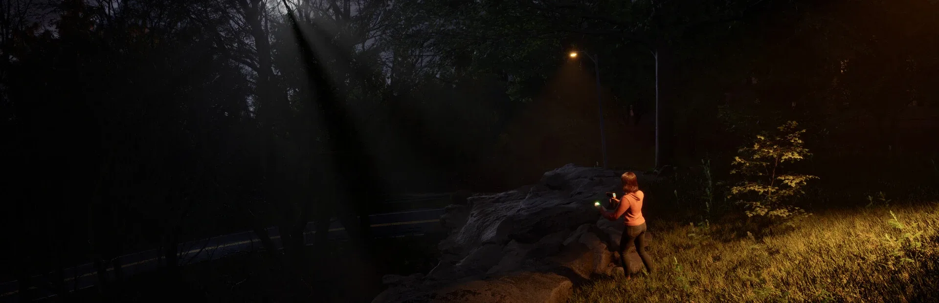 Among The Whispers: Provocation