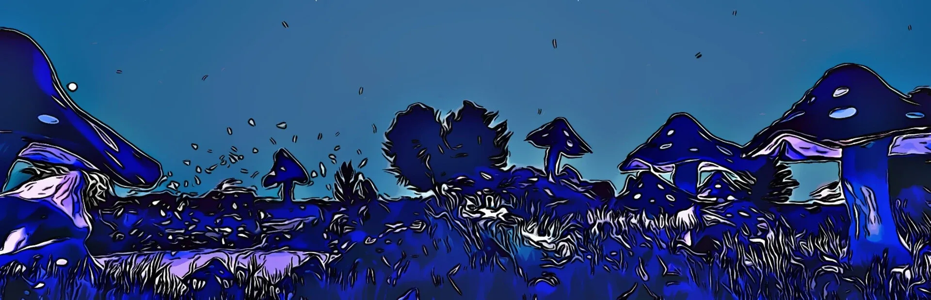 Quack Attack