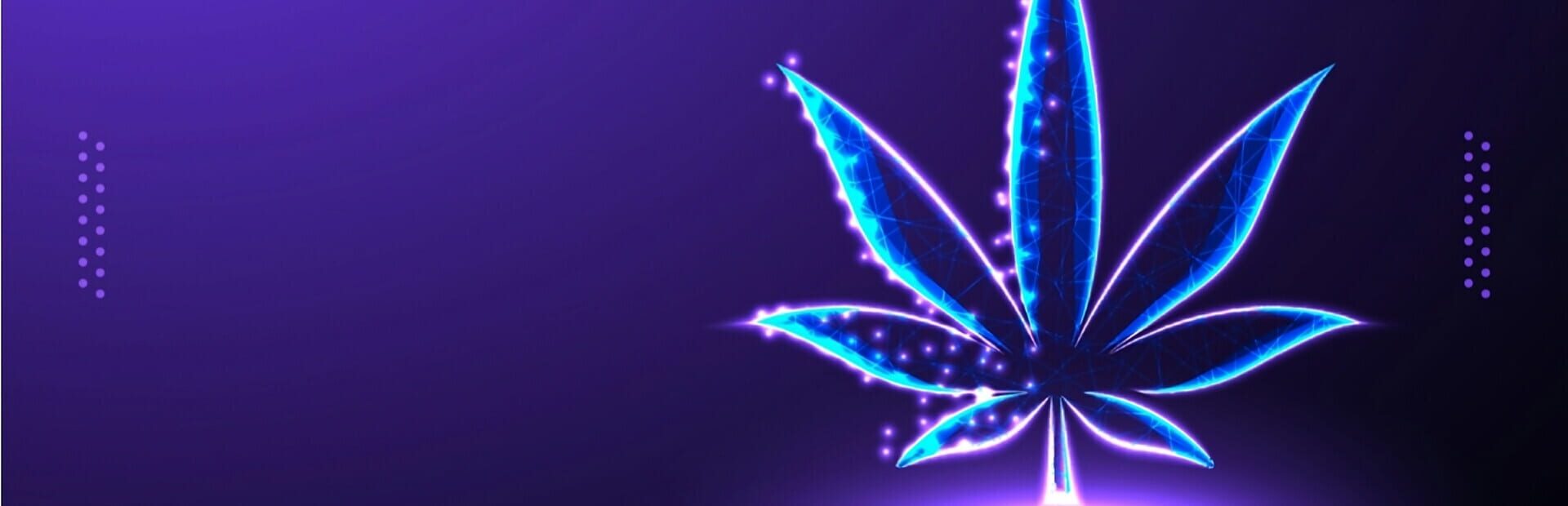 Artwork for Diary of a Stoner
