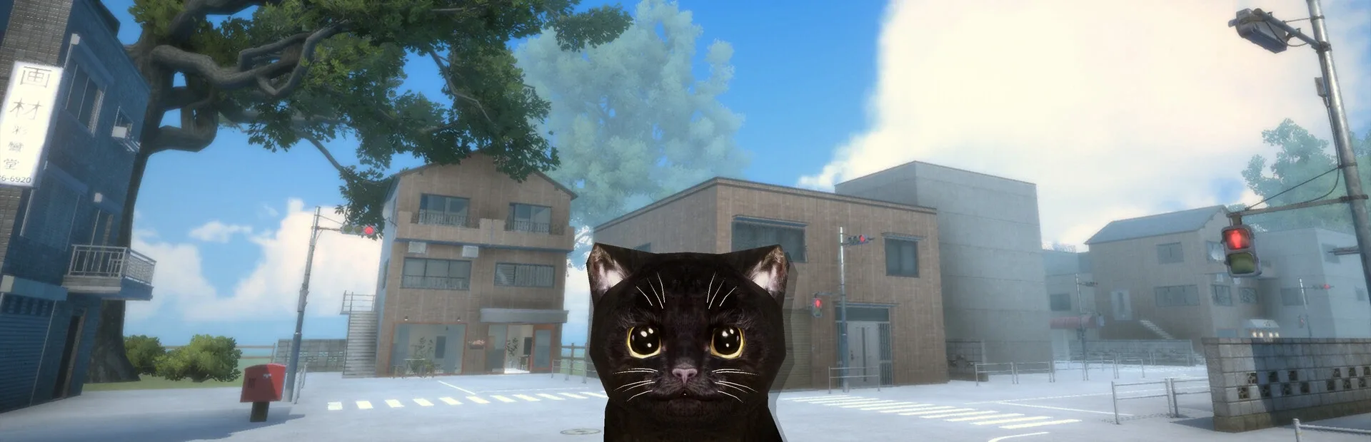 Nekoto