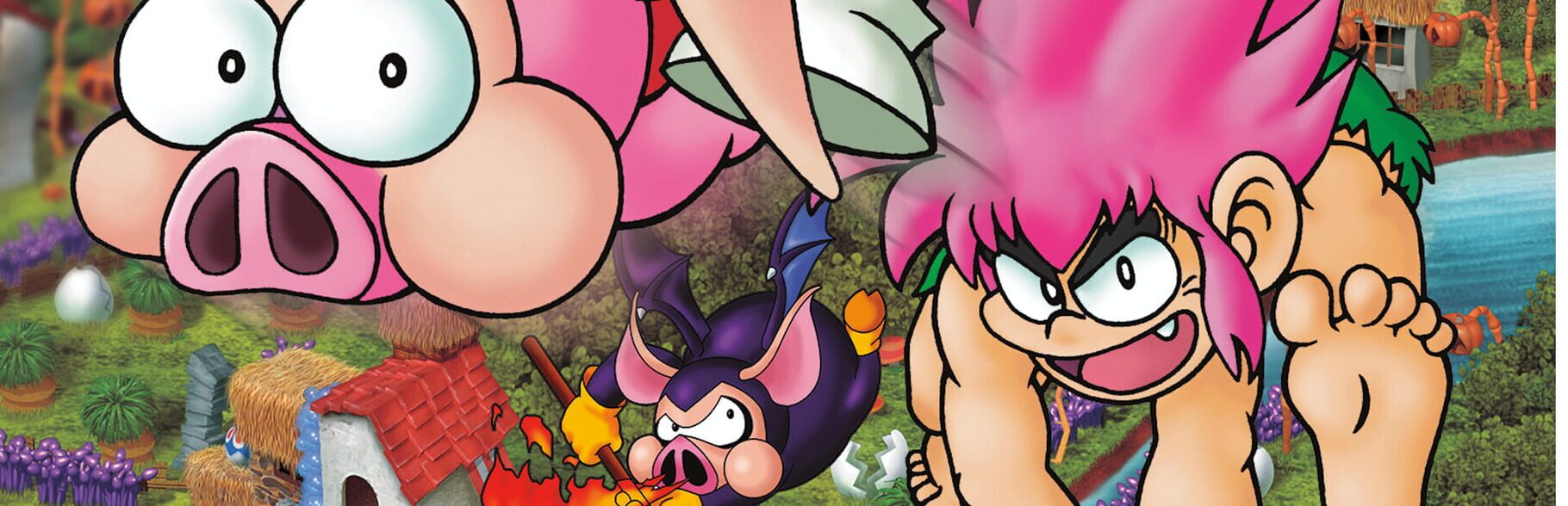 Tomba! Special Edition artwork