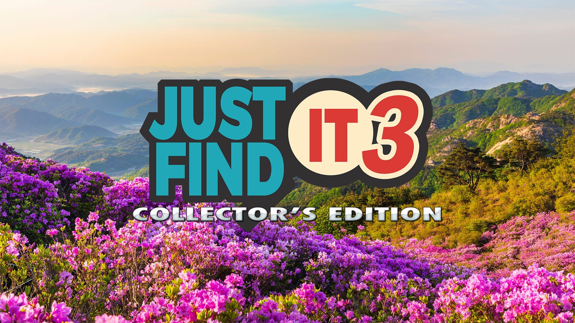 Artwork for Just Find It 3: Collector's Edition