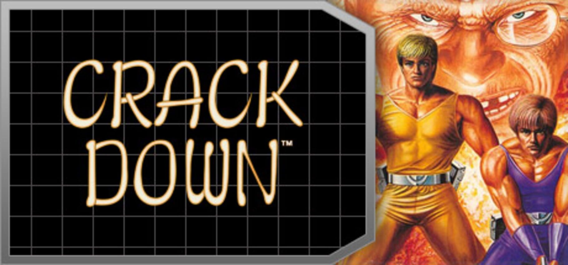 Crack Down artwork