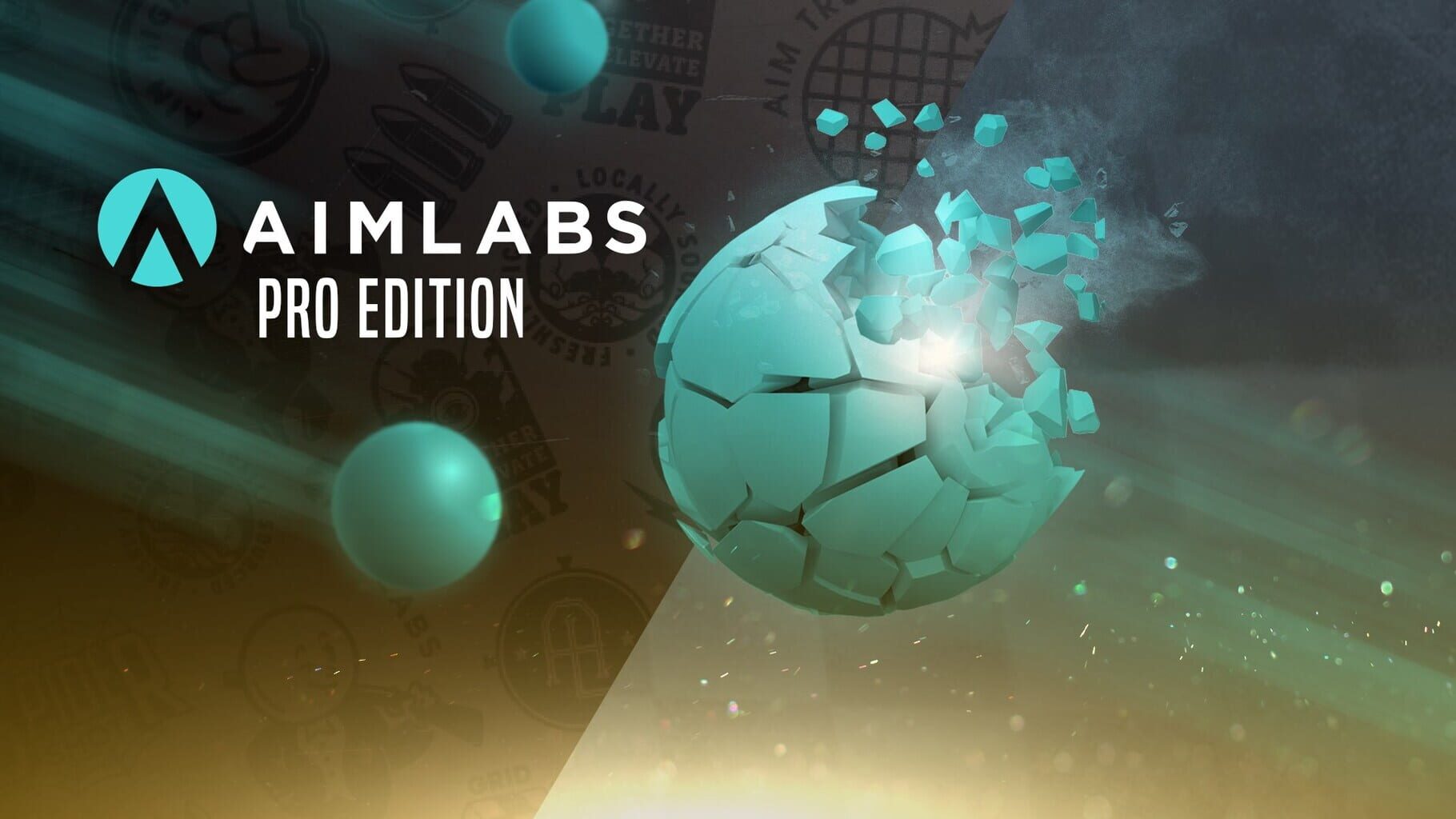 Arte - Aimlabs: Professional Edition