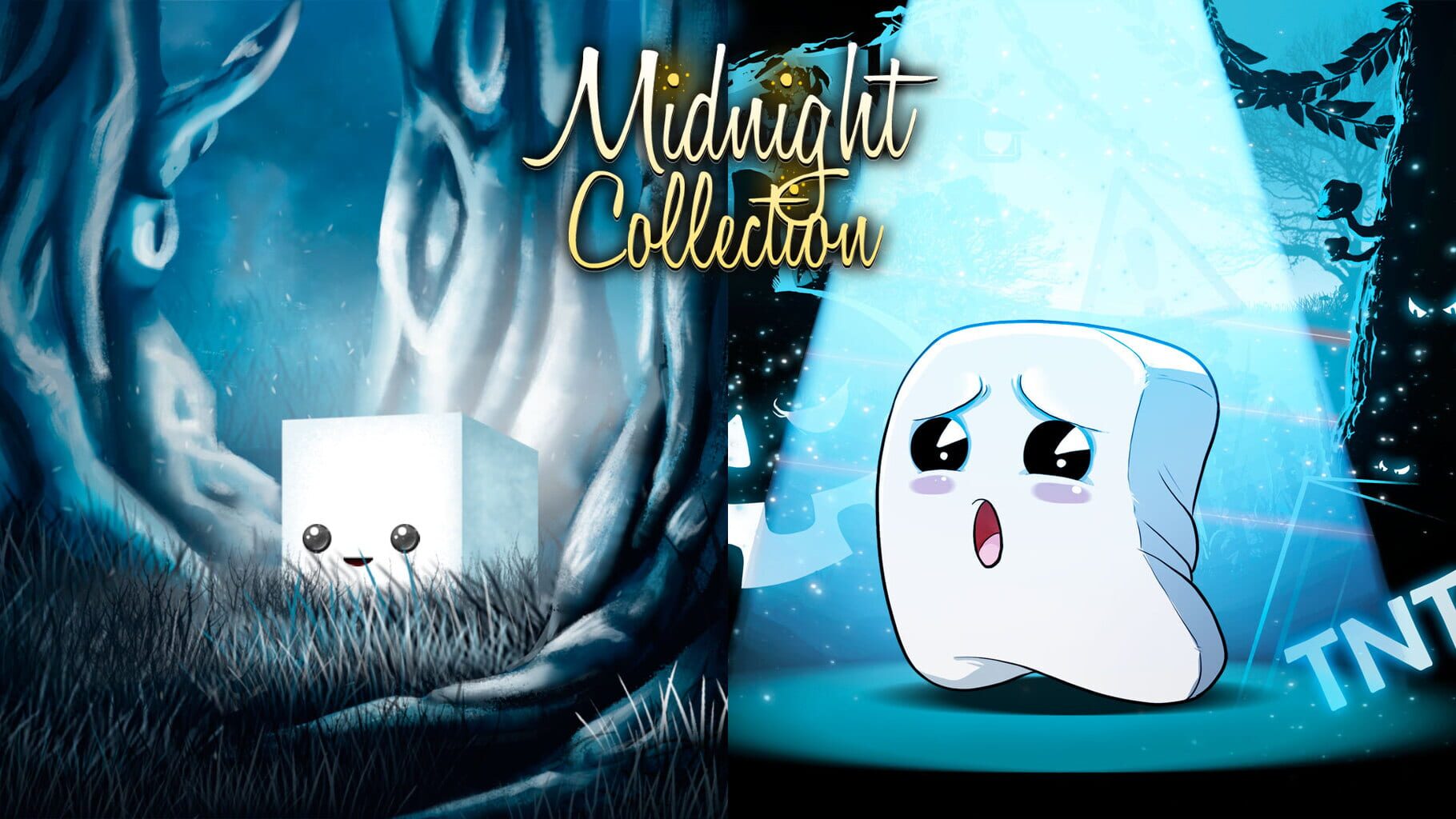 Midnight Collection artwork