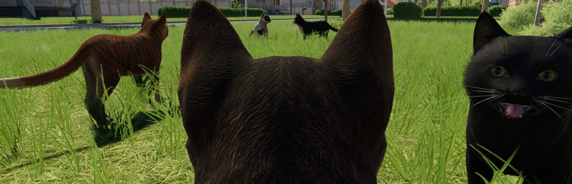 artwork 1