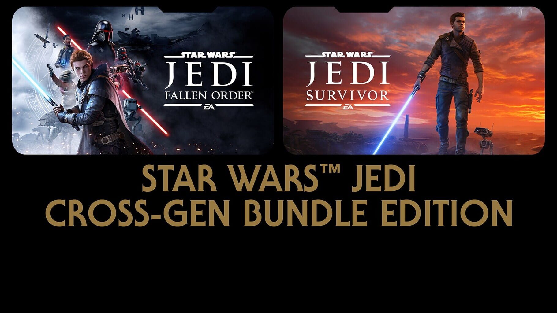 Arte - Star Wars Jedi Cross-Gen Bundle Edition