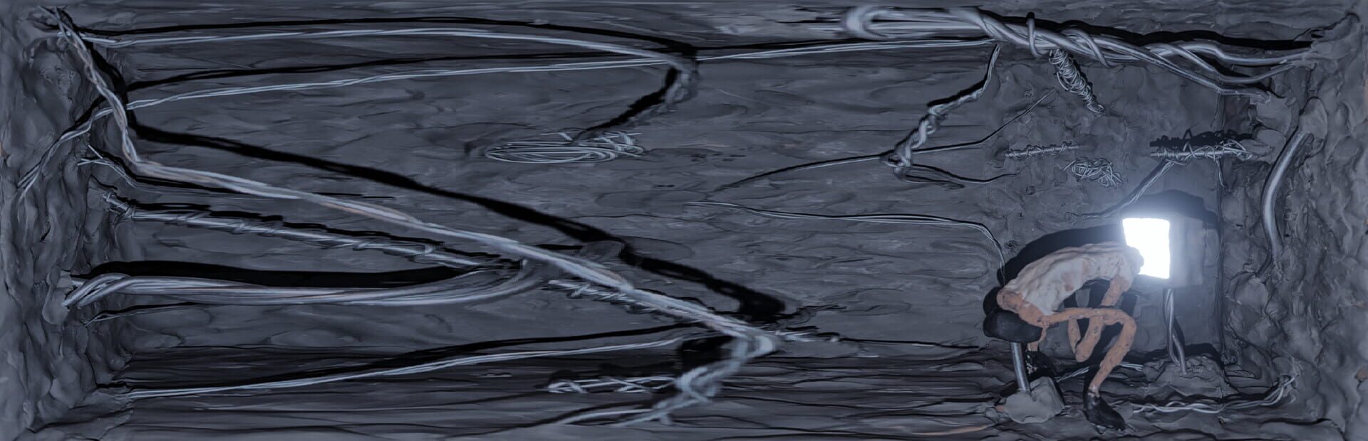 Elation for the Wonder Box 6000