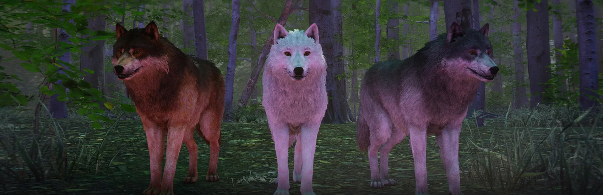 Wolf Simulator: Silent Paws