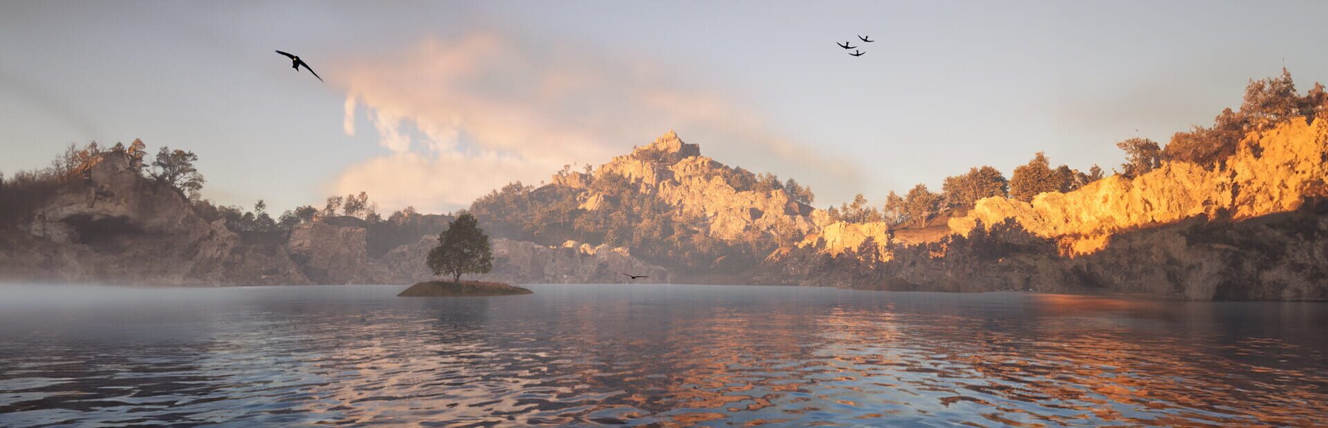 Artwork for APUS: Bird Simulator