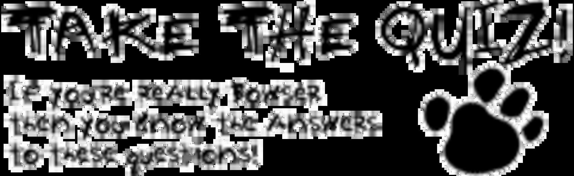 Artwork for Bowser's Diary Quiz