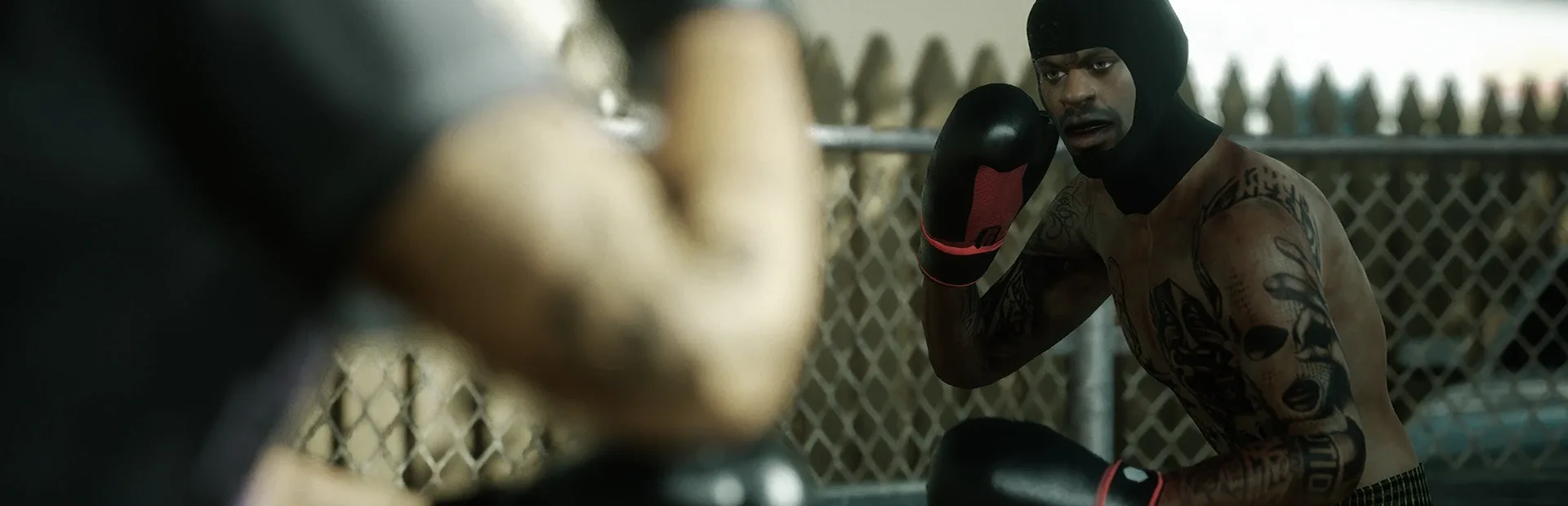 Backyard Boxing