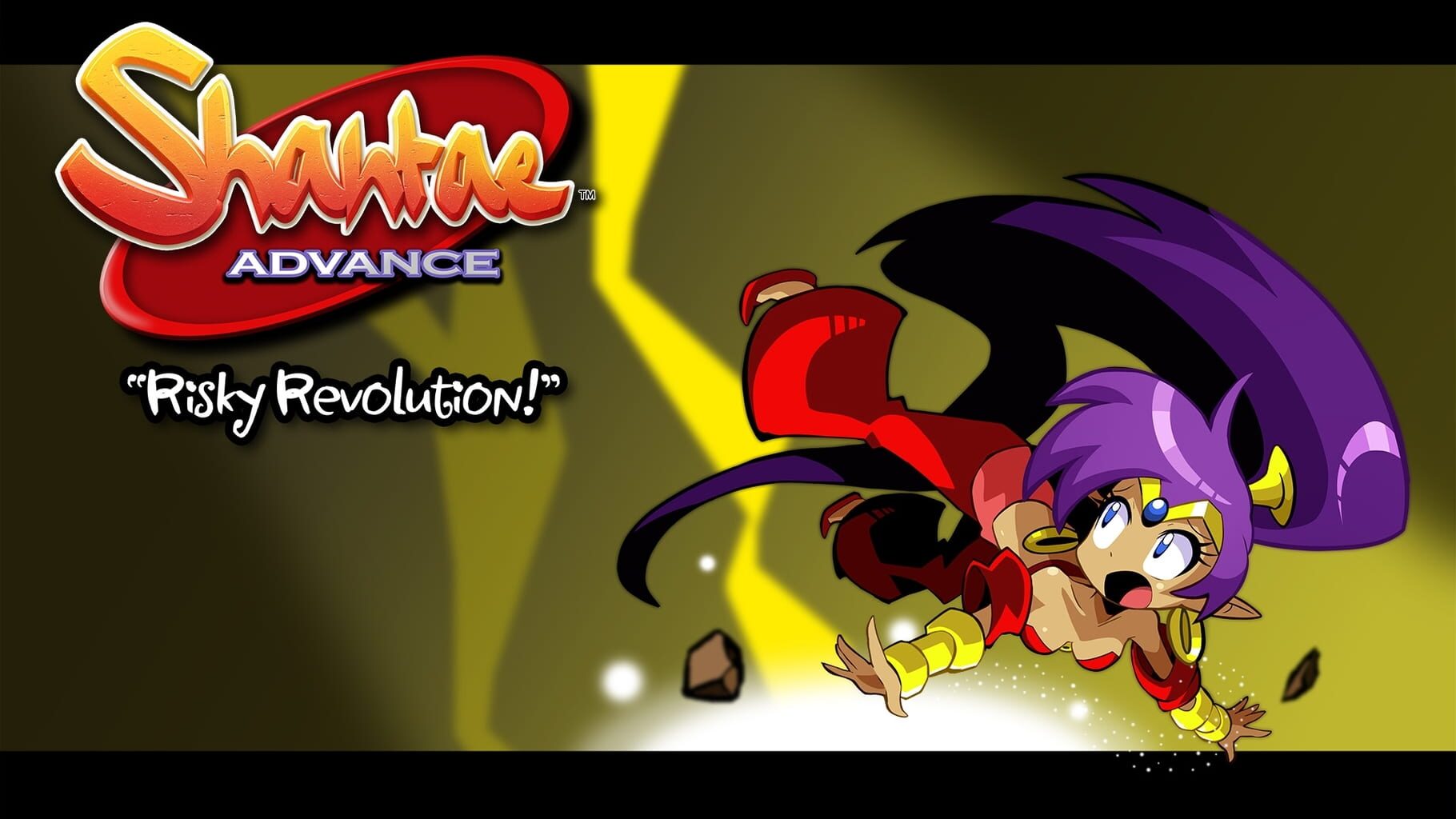 Shantae Advance: Risky Revolution artwork