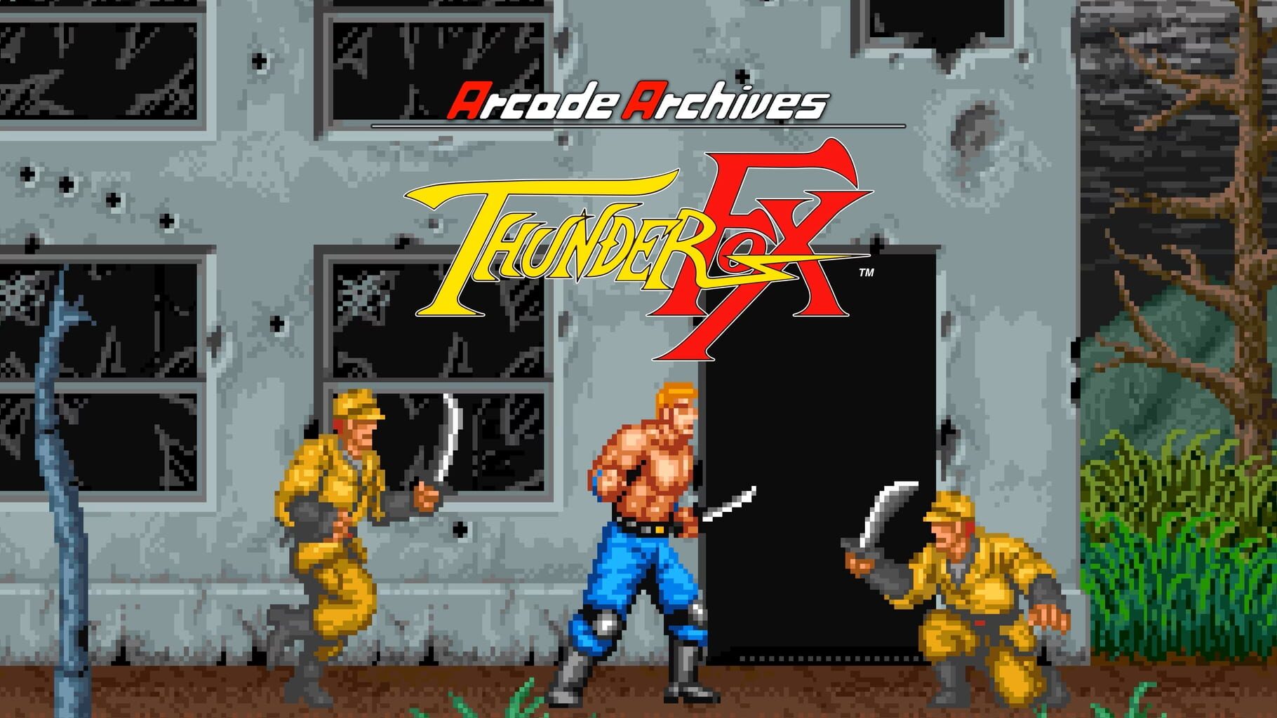 Artwork for Arcade Archives: Thunder Fox