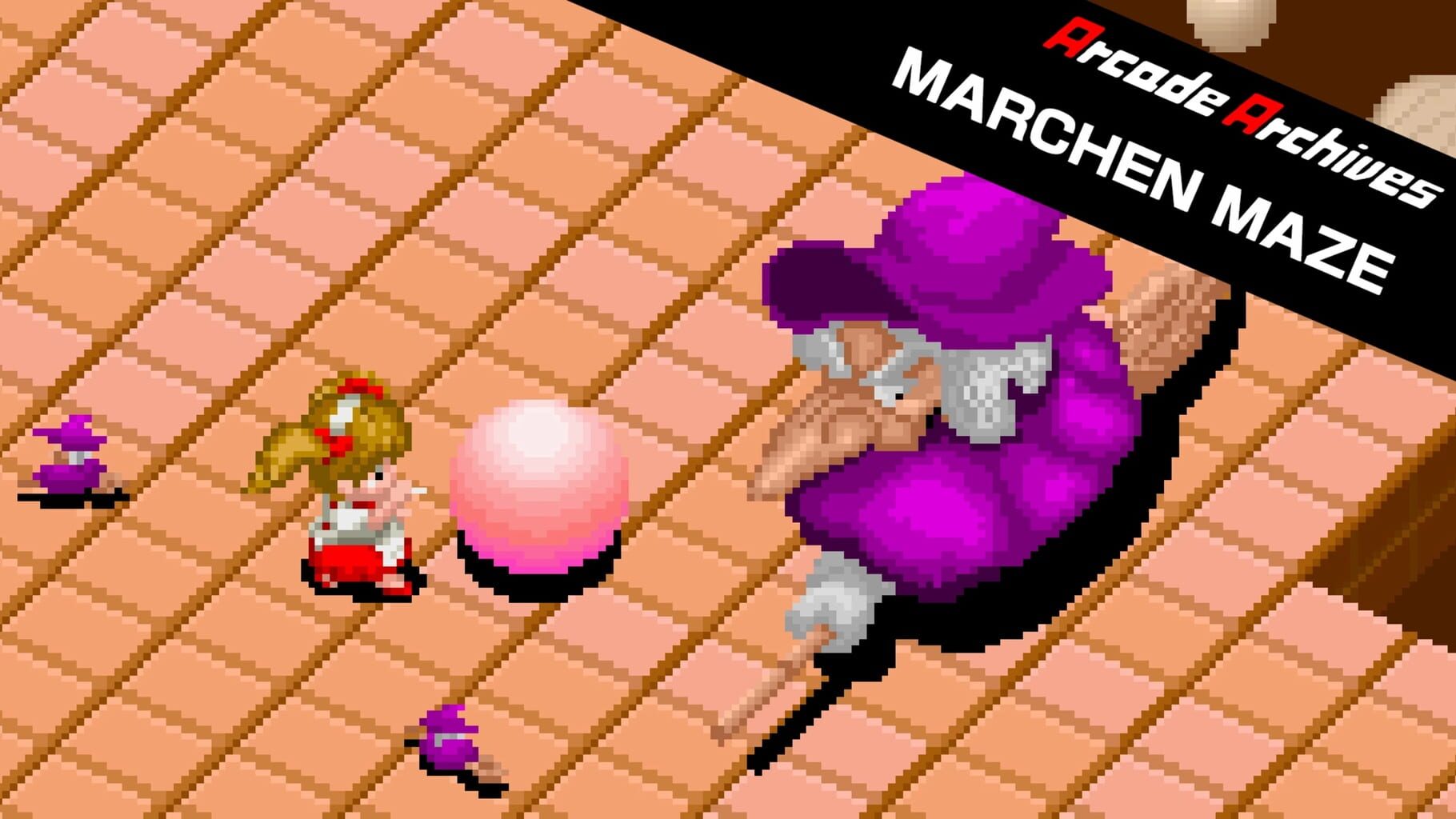 Arcade Archives: Märchen Maze artwork