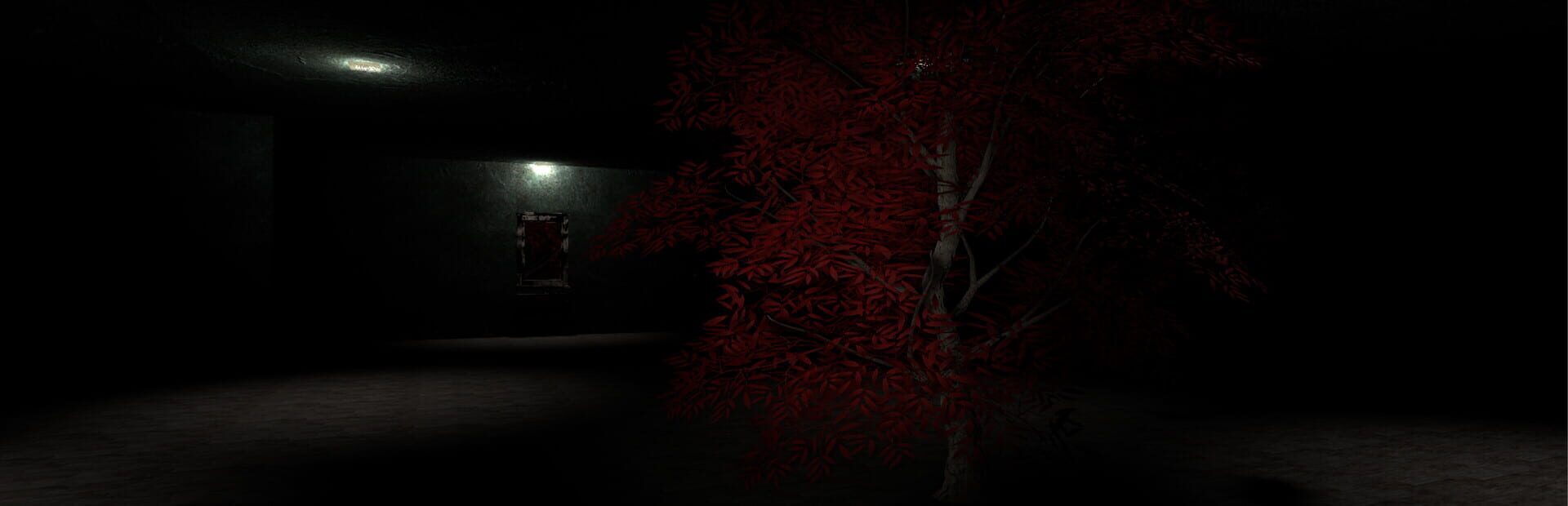 Artwork for Sally's House