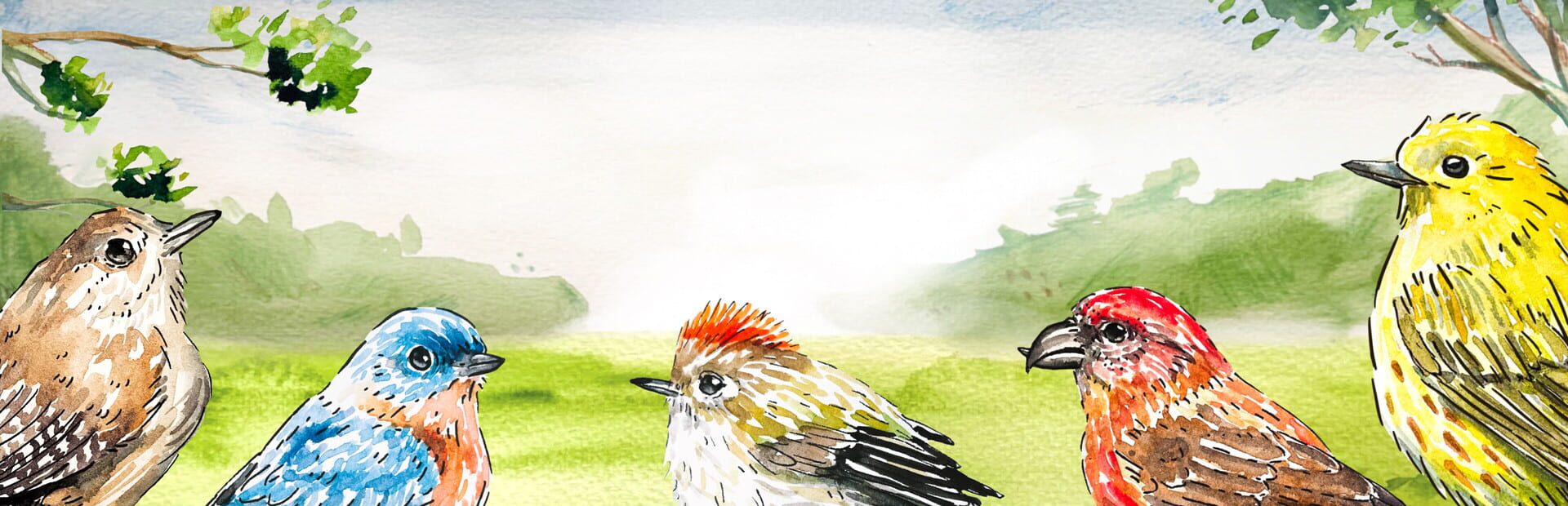 Artwork for Birdfull