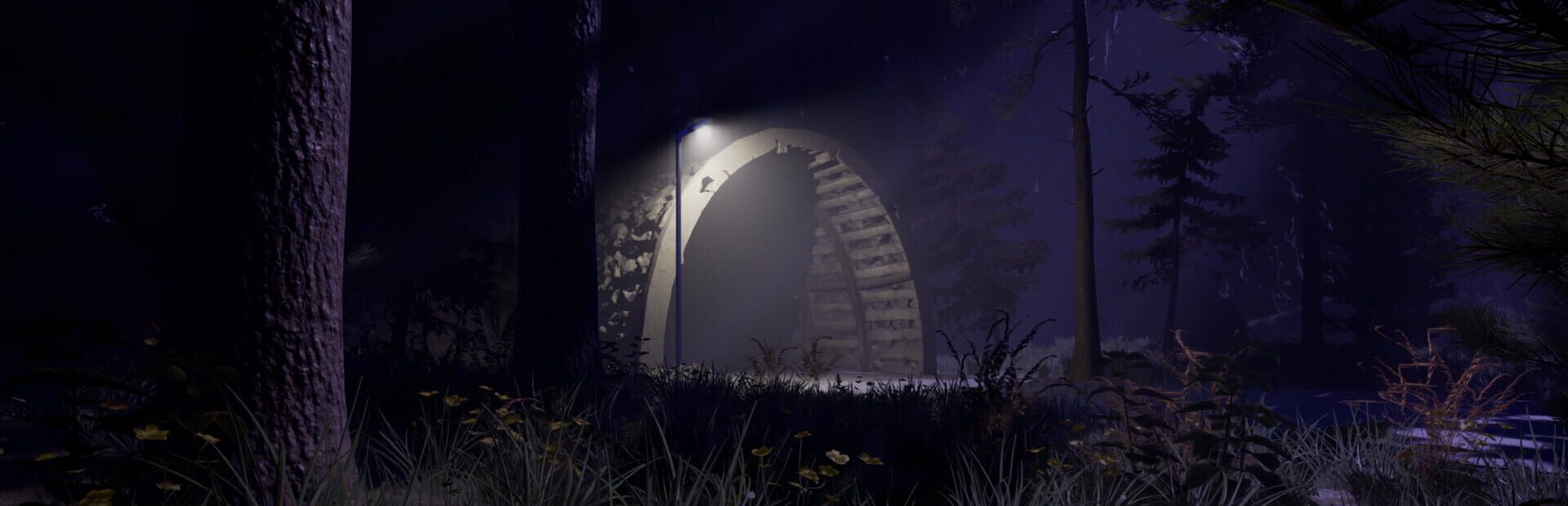 Artwork for SCP: November 2010