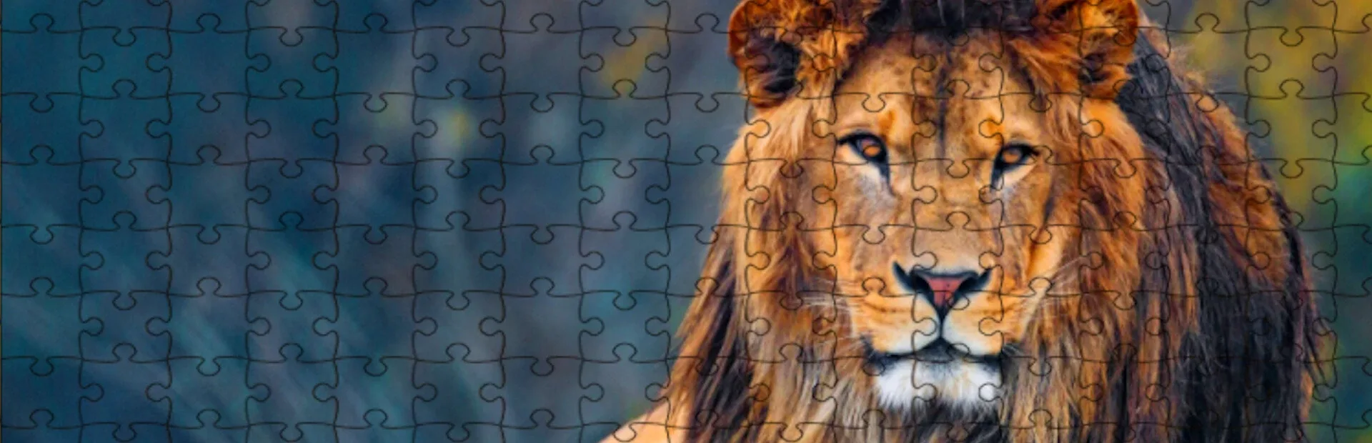Big Cat Jigsaw Quest