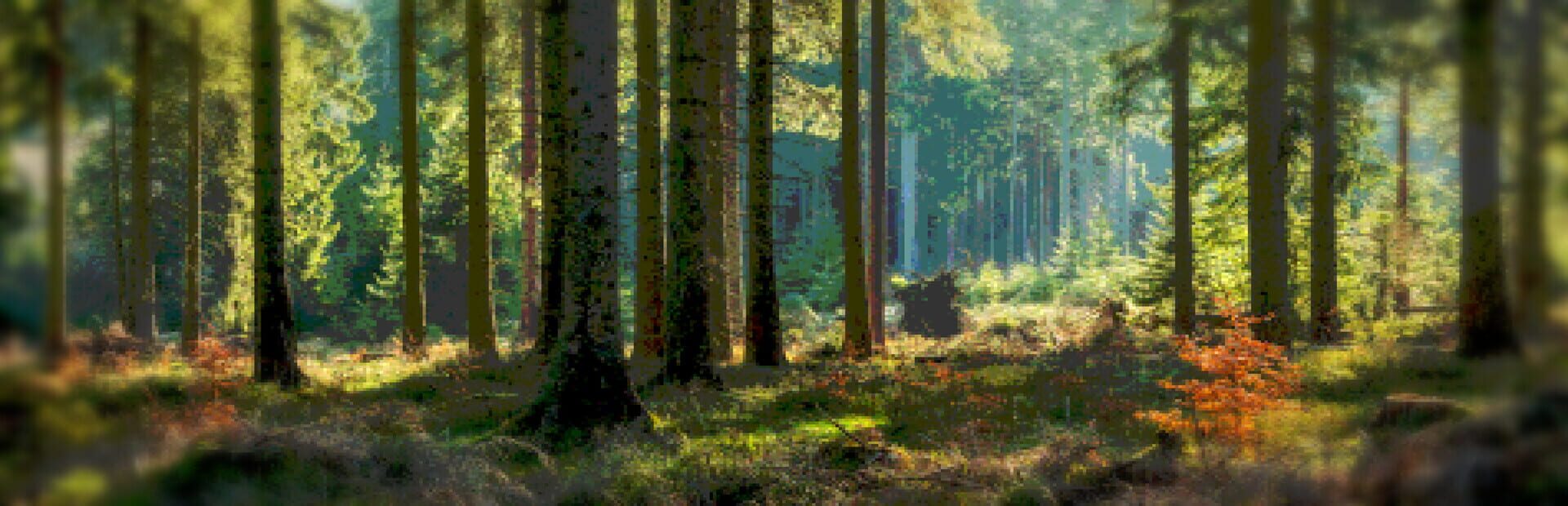 Artwork for Ultra X-Treme Hunting Simulator 2001