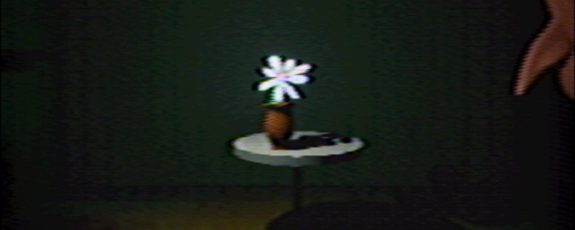 Artwork for The Flowertest