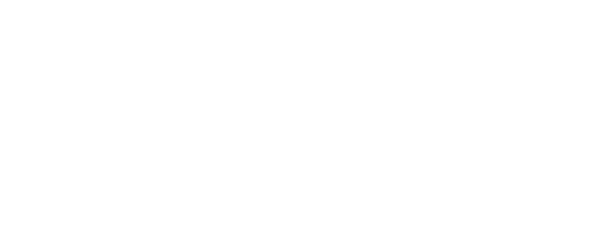 The Protocol Directive