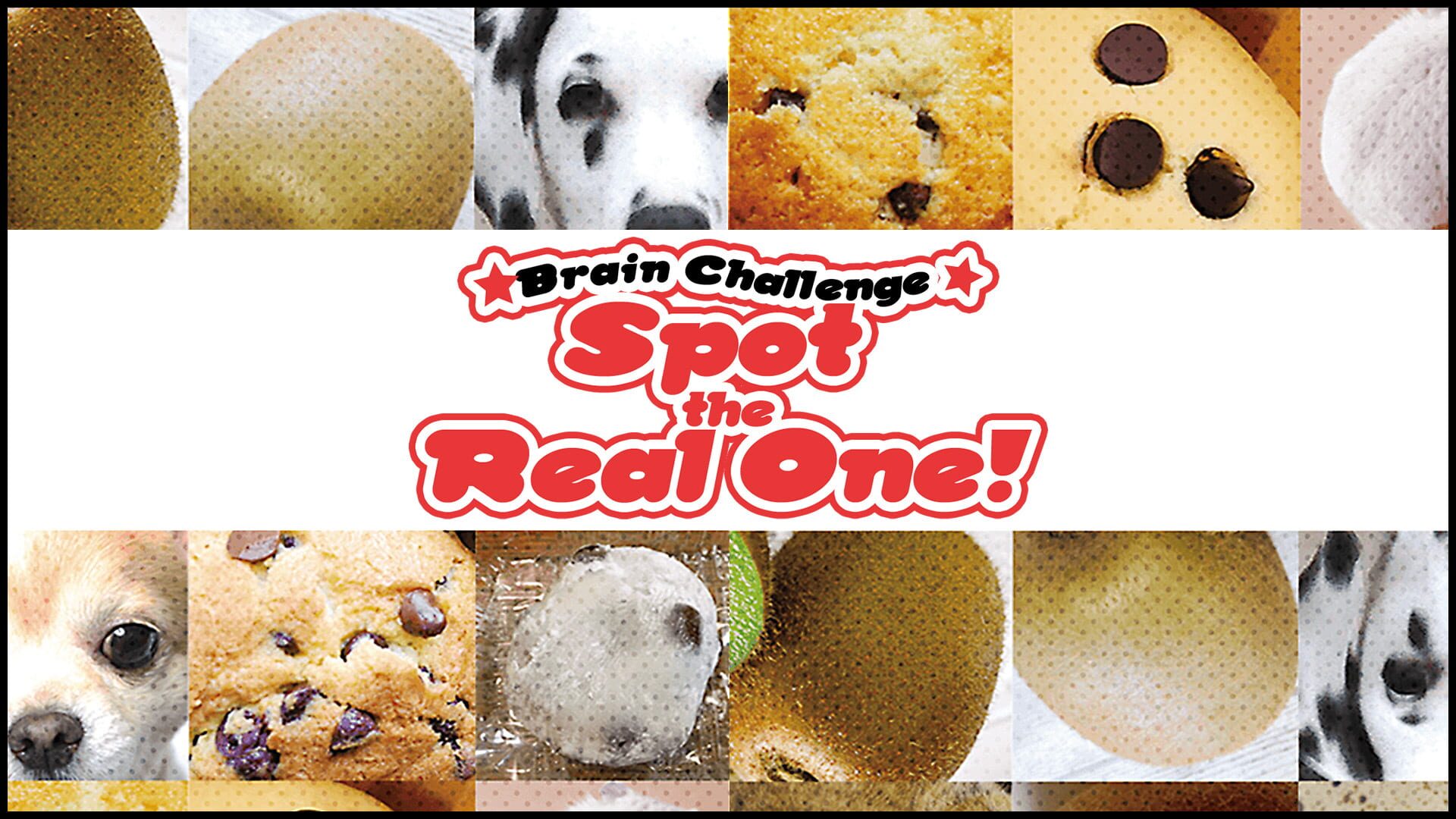 Artwork for Brain Challenge Spot the Real One!