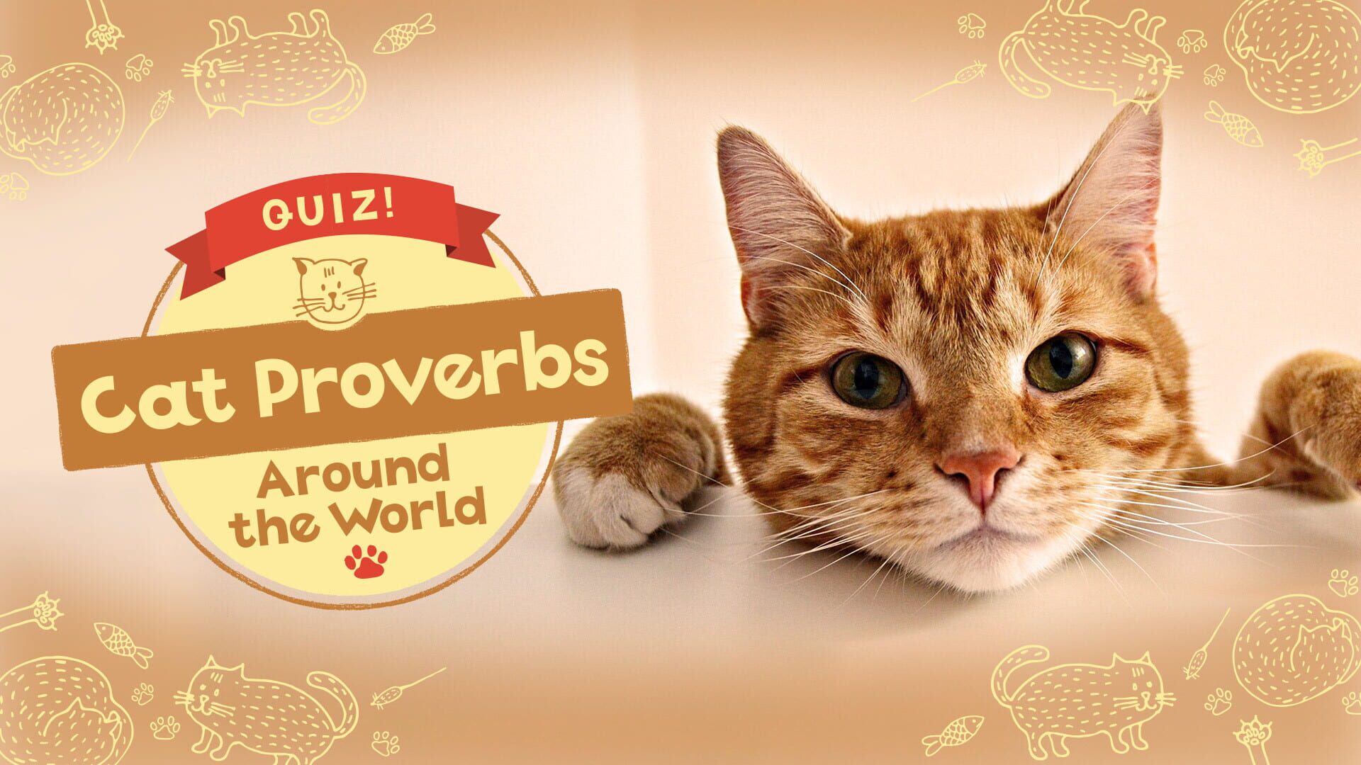 Artwork for Quiz! Cat Proverbs Around the World