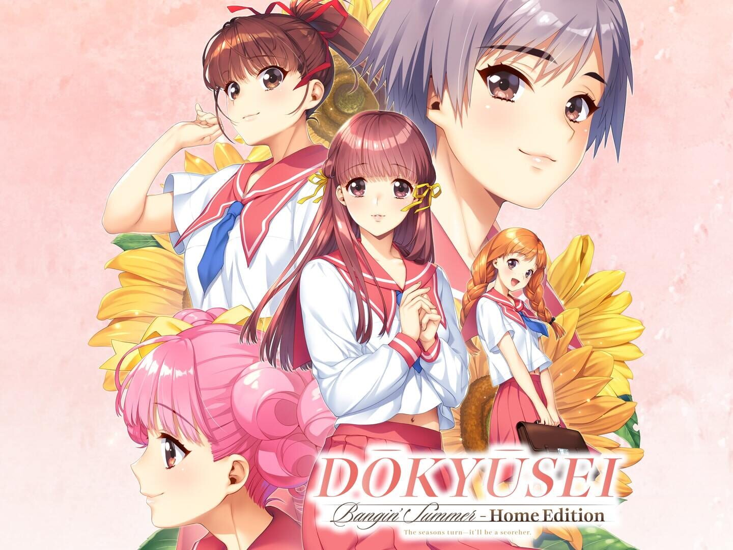 Dokyusei: Bangin' Summer - Home Edition artwork