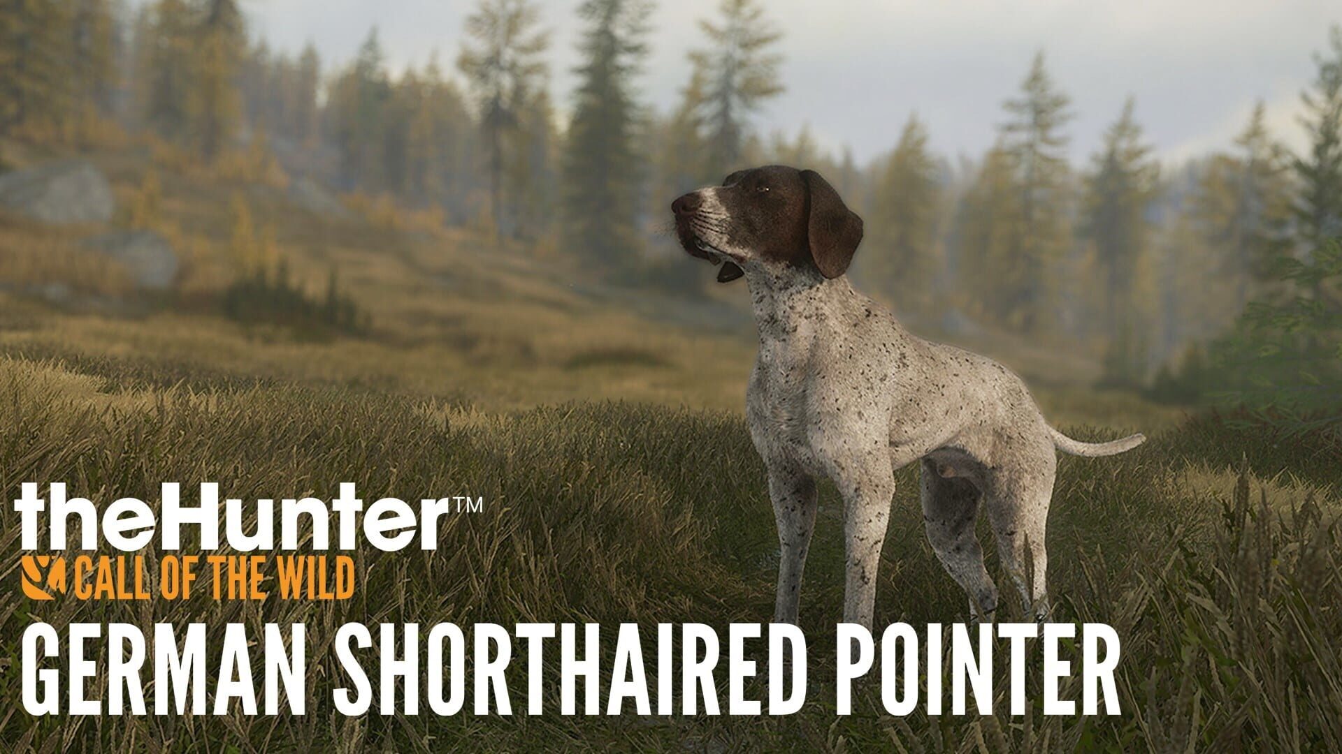 cover-TheHunter: Call of the Wild - German Shorthaired Pointer