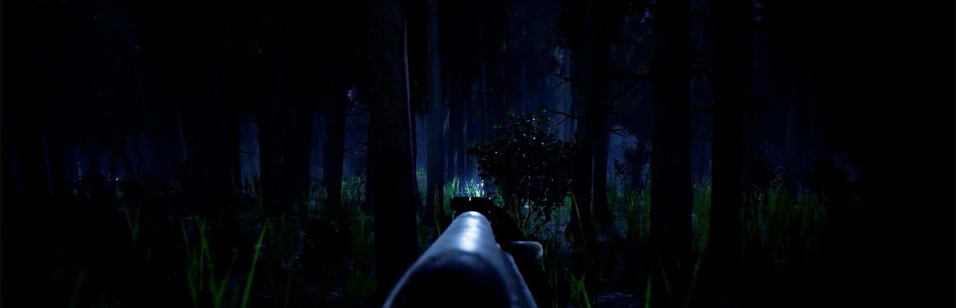 Artwork for Forest